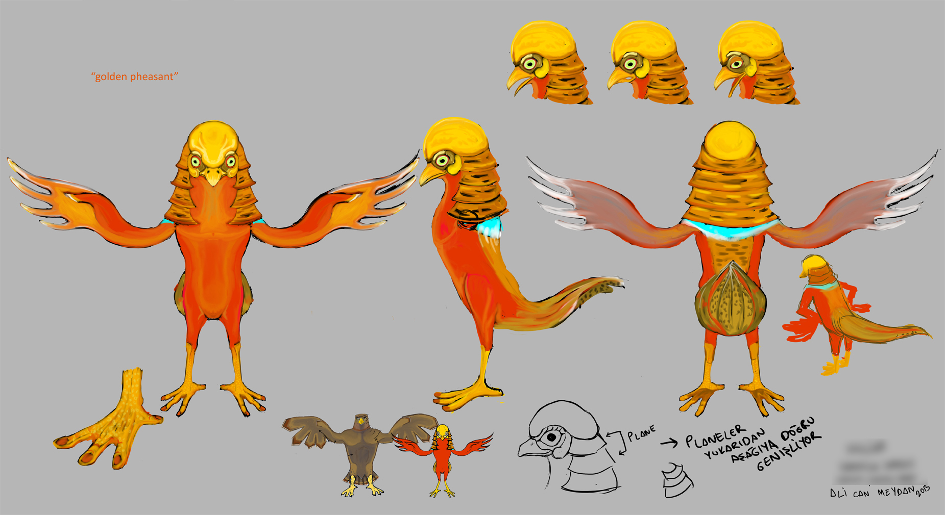 Çizgi Film Karakter Tasarımı / Toon Character Concept Design