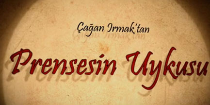 Prenses’in Uykusu Jenerik Çizimleri / Illustrations of Feature Film Intro